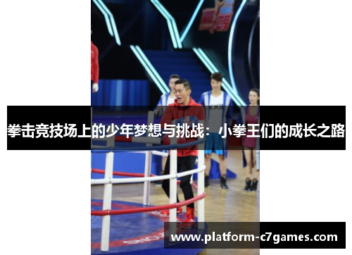 拳击竞技场上的少年梦想与挑战：小拳王们的成长之路