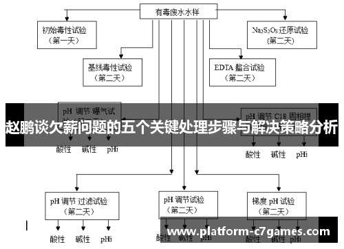 赵鹏谈欠薪问题的五个关键处理步骤与解决策略分析