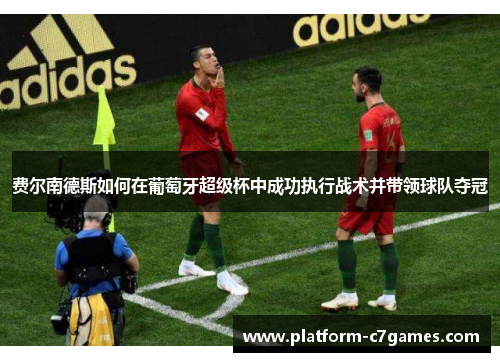 费尔南德斯如何在葡萄牙超级杯中成功执行战术并带领球队夺冠